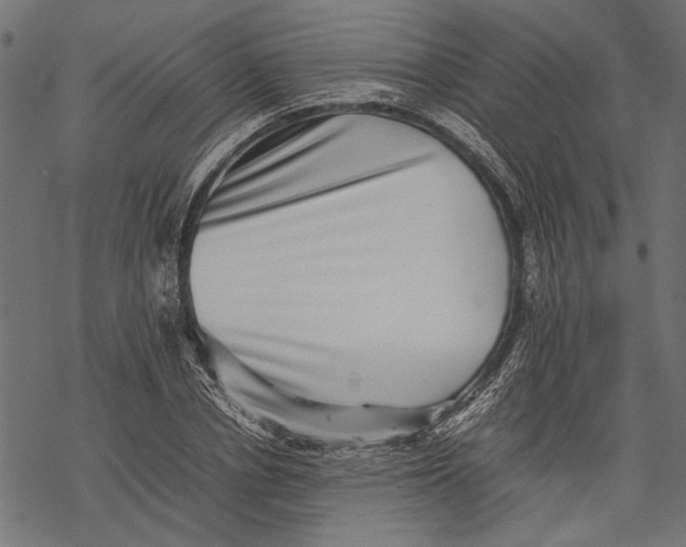 X0000067910834200605041641