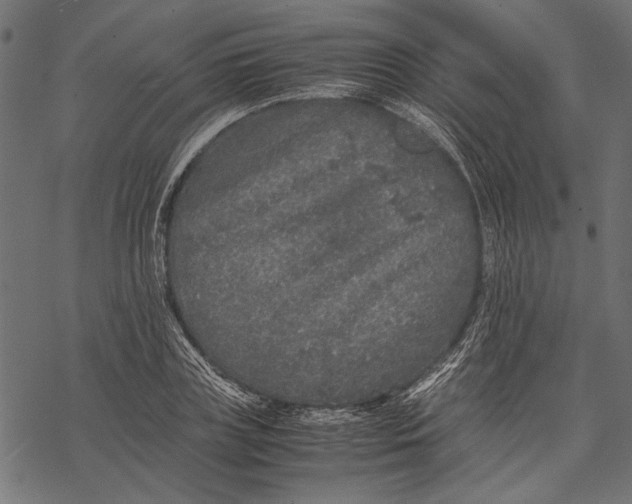 X0000067910835200605041641