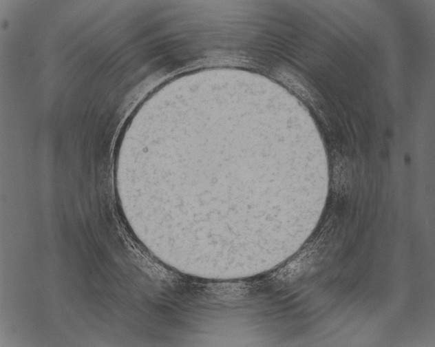 X0000067910836200605041641