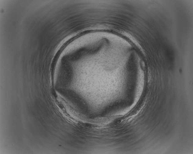 X0000067910837200605041641