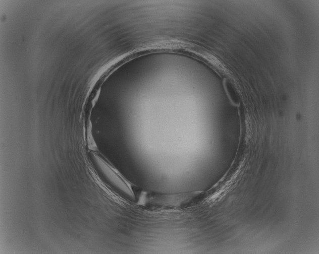 X0000067910838200605041641