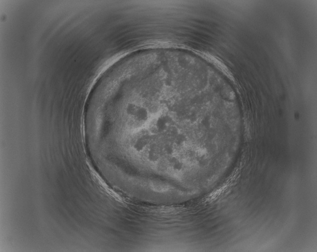 X0000067910839200605041641