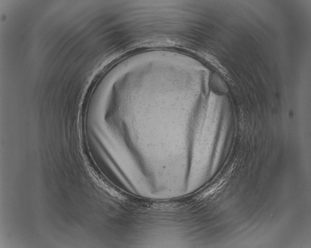 X0000067910840200605041641