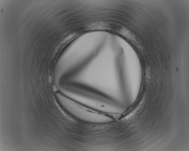 X0000067910841200605041641