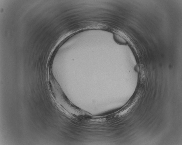 X0000067910843200605041641