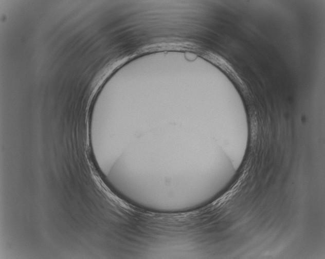 X0000067910844200605041641