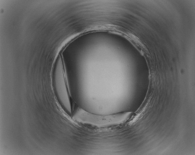 X0000067910846200605041641