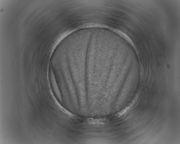 X0000067910847200605041641