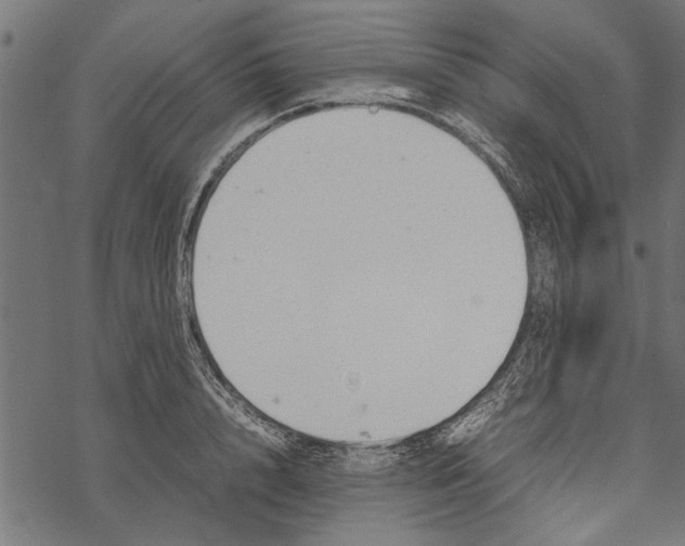 X0000067910848200605041641