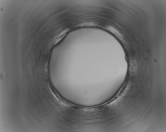 X0000067910849200605041641