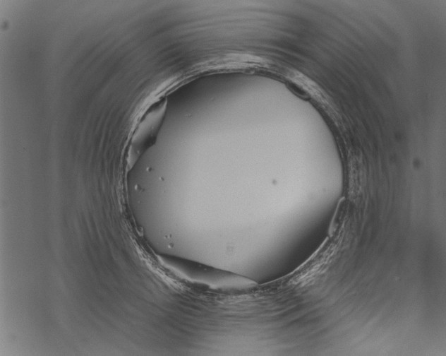 X0000067910850200605041641