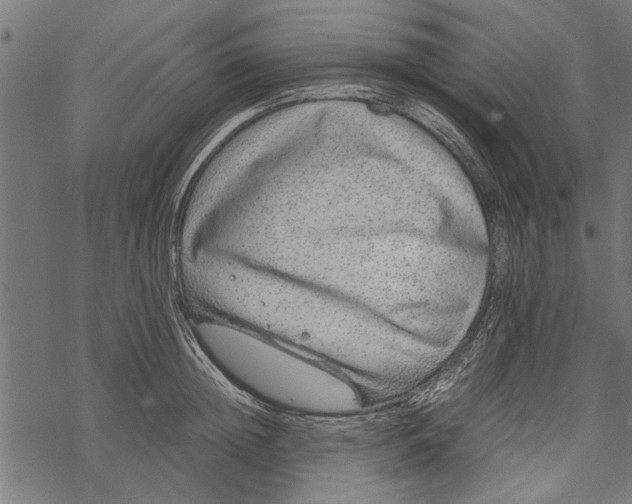 X0000067910852200605041641