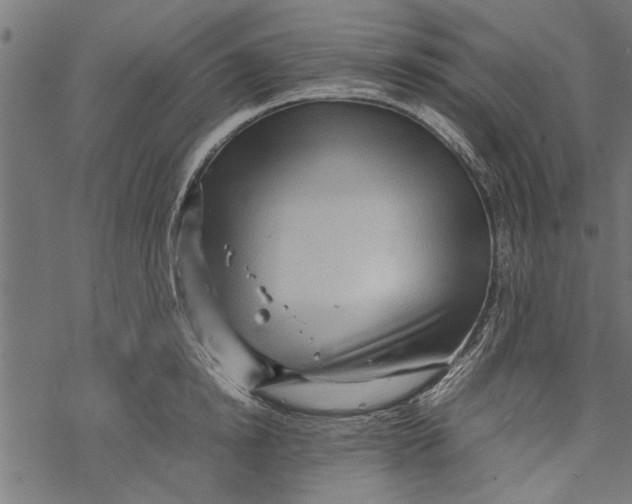 X0000067910854200605041641