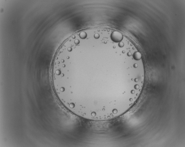 X0000067910856200605041641