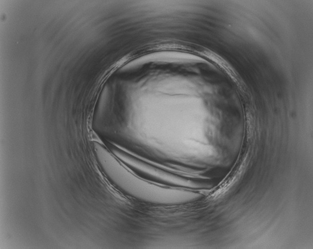 X0000067910857200605041641