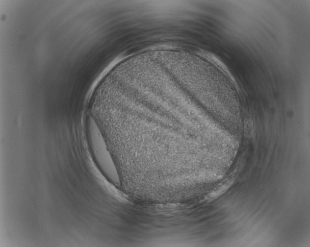 X0000067910859200605041642