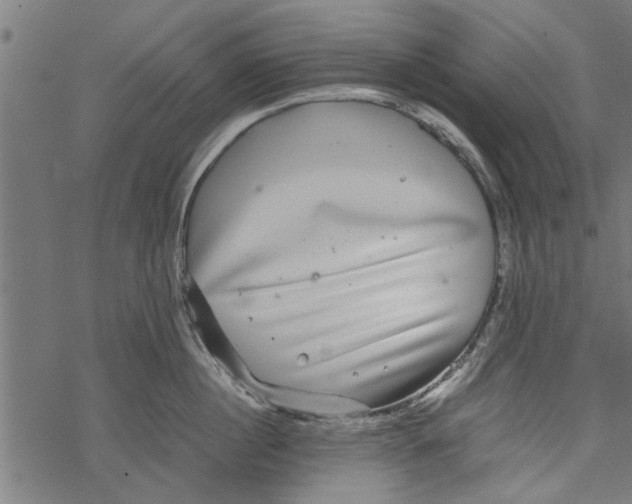 X0000067910860200605041642