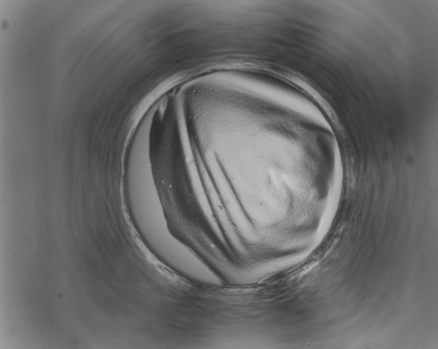 X0000067910861200605041642