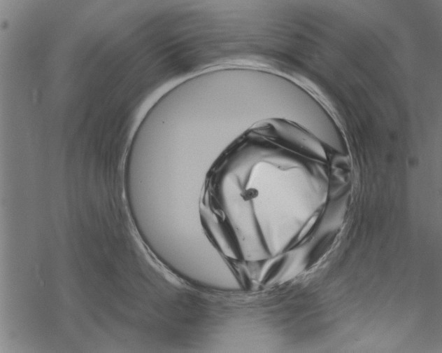 X0000067910862200605041642