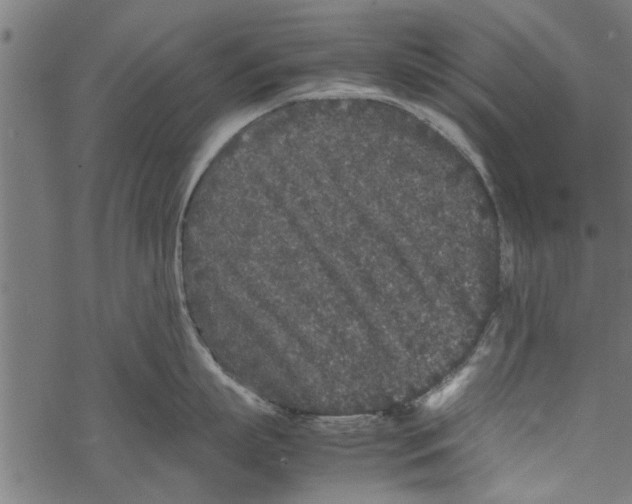 X0000067910863200605041642