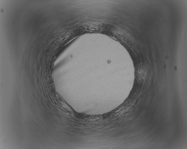 X0000067910865200605041641