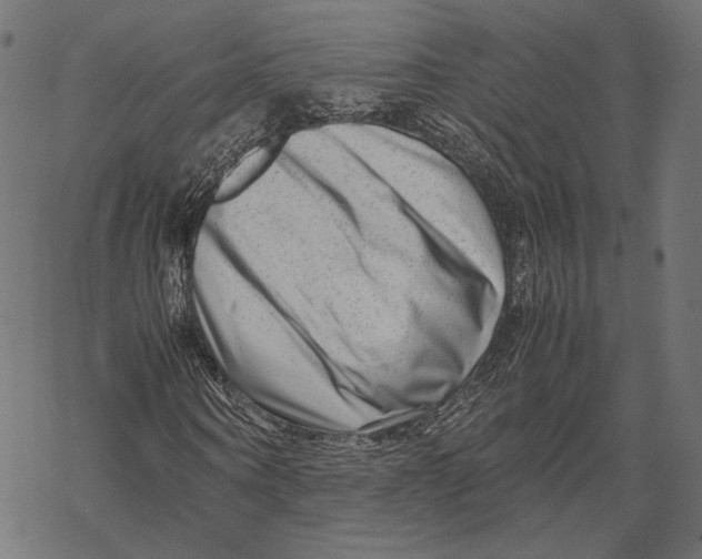 X0000067910866200605041641