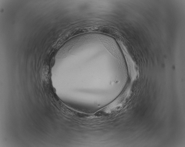 X0000067910867200605041641