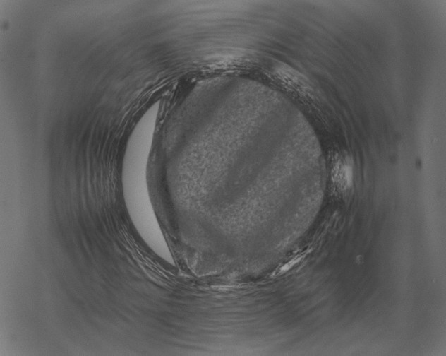 X0000067910868200605041641