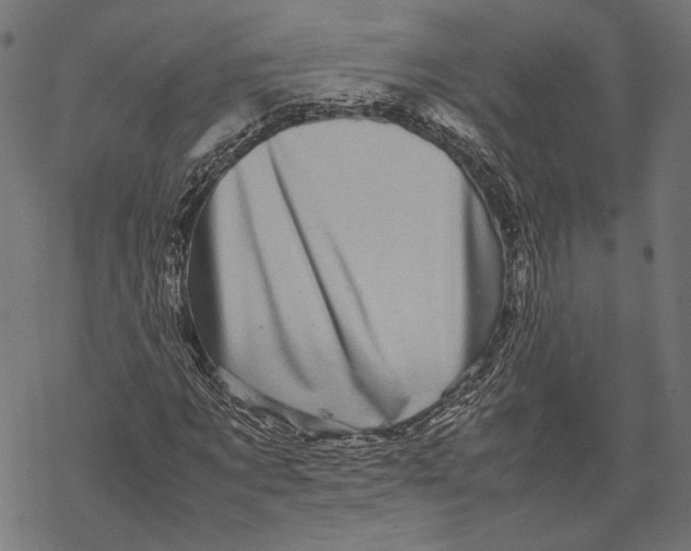 X0000067910869200605041641