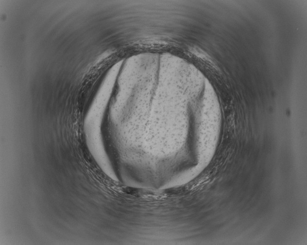 X0000067910870200605041641