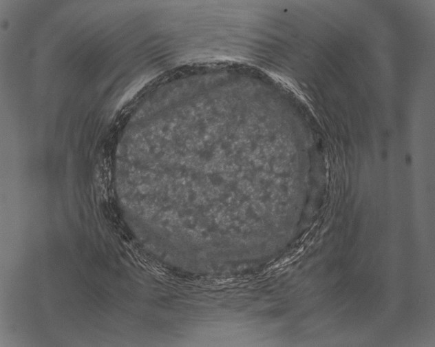 X0000067910871200605041641