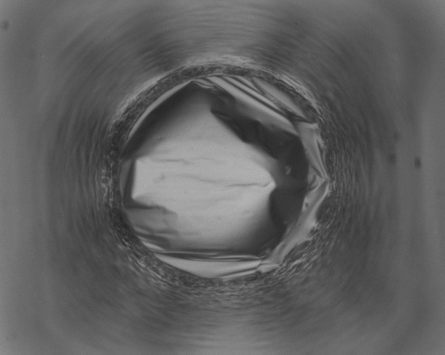 X0000067910872200605041641