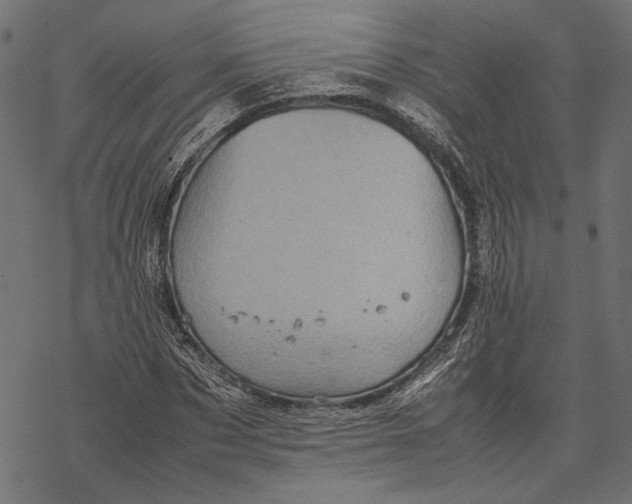 X0000067910873200605041641