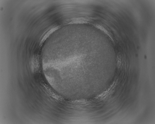 X0000067910874200605041641