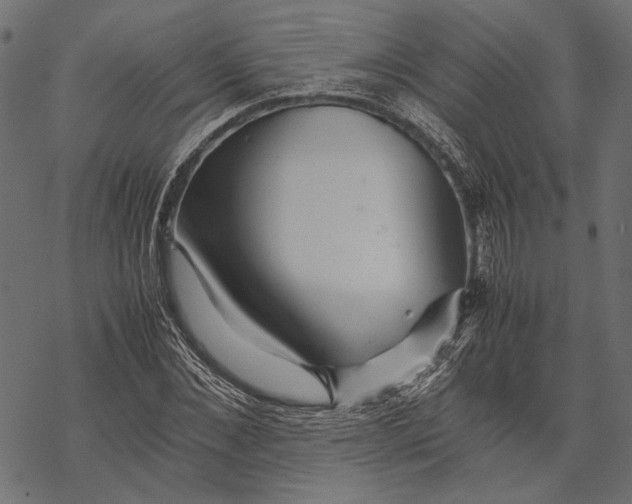 X0000067910876200605041641