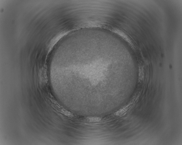 X0000067910878200605041641