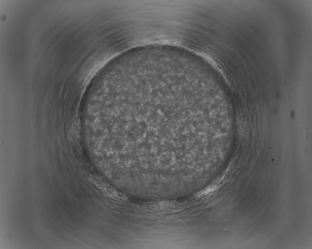 X0000067910879200605041641