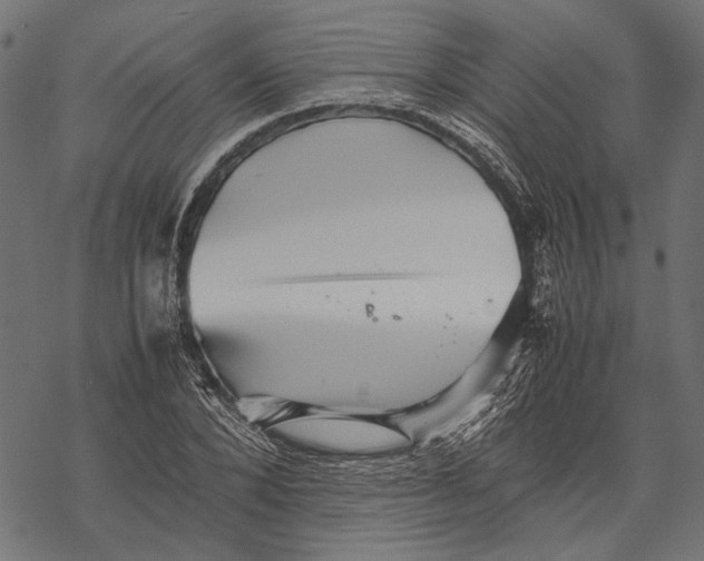 X0000067910880200605041641