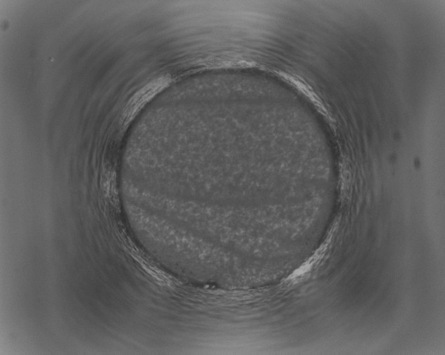 X0000067910881200605041641