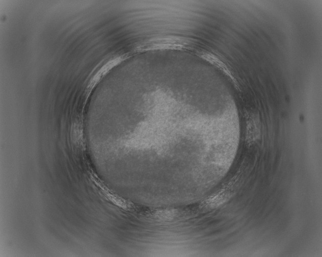 X0000067910882200605041640