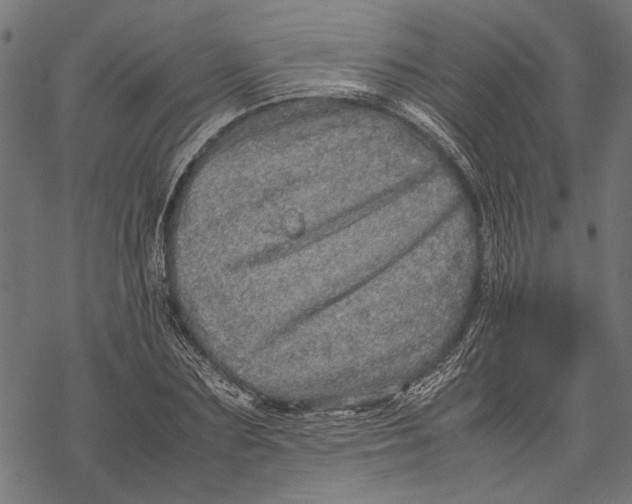 X0000067910883200605041640