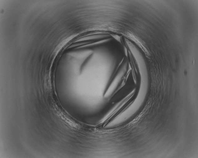 X0000067910884200605041640