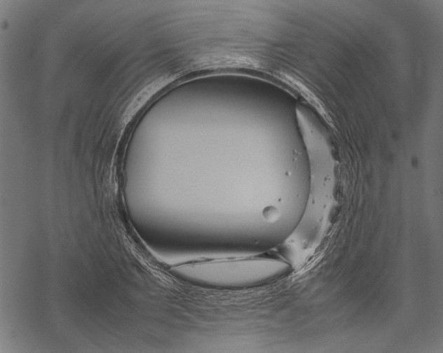 X0000067910885200605041640