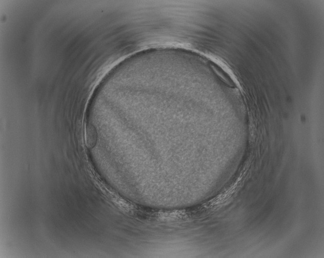 X0000067910887200605041640