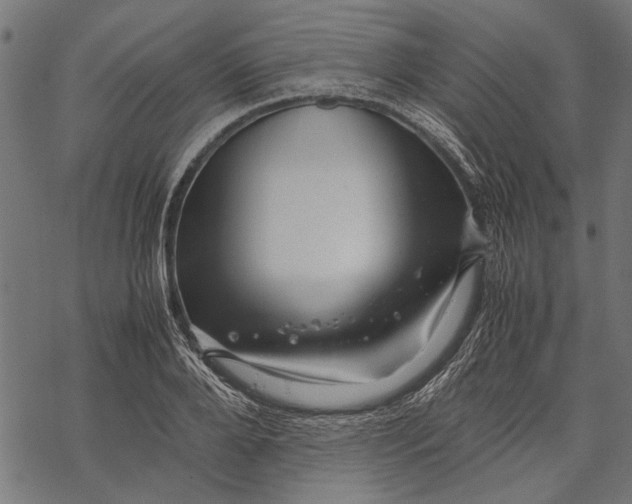 X0000067910888200605041640