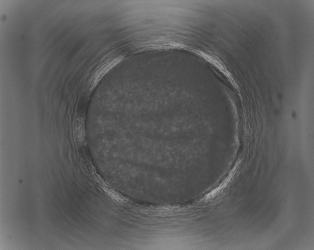 X0000067910889200605041640