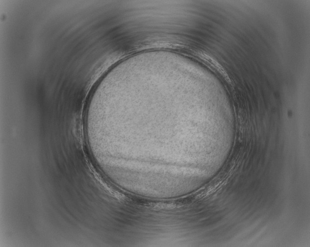 X0000067910890200605041640