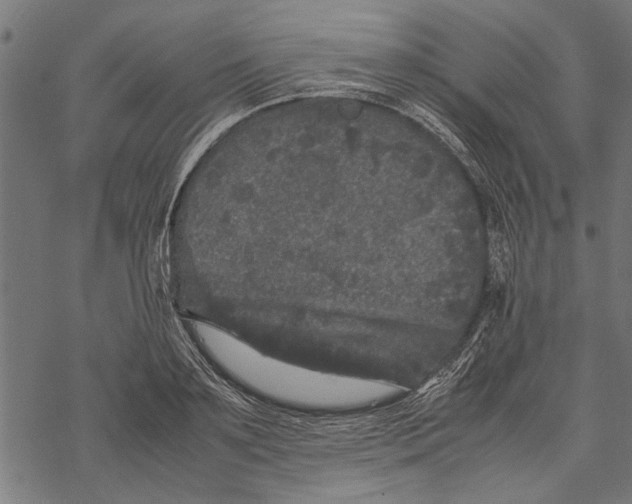 X0000067910891200605041640