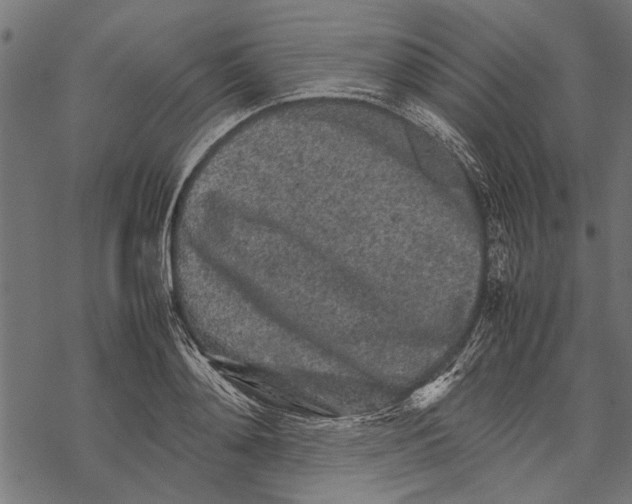 X0000067910892200605041640