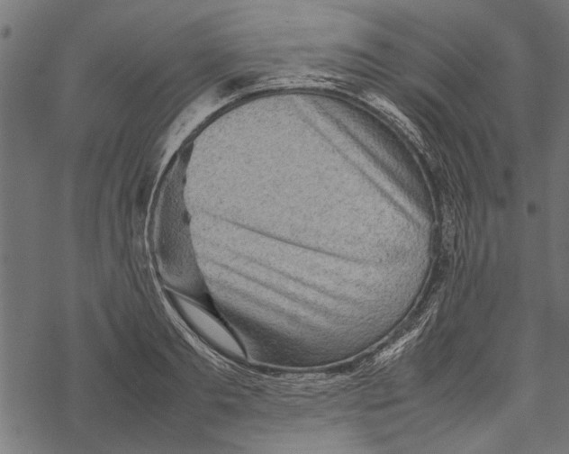 X0000067910893200605041640